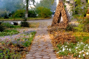 ��� ��������